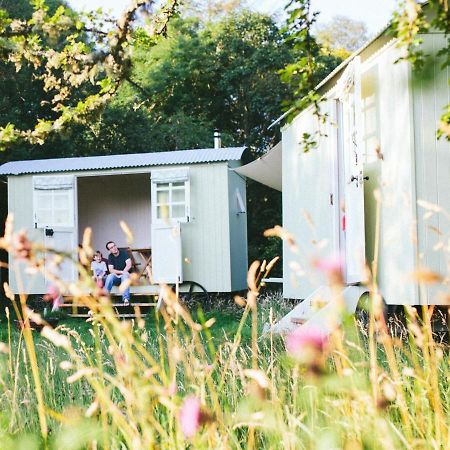 Snowdonia Shepherds' Huts Conwy Dış mekan fotoğraf