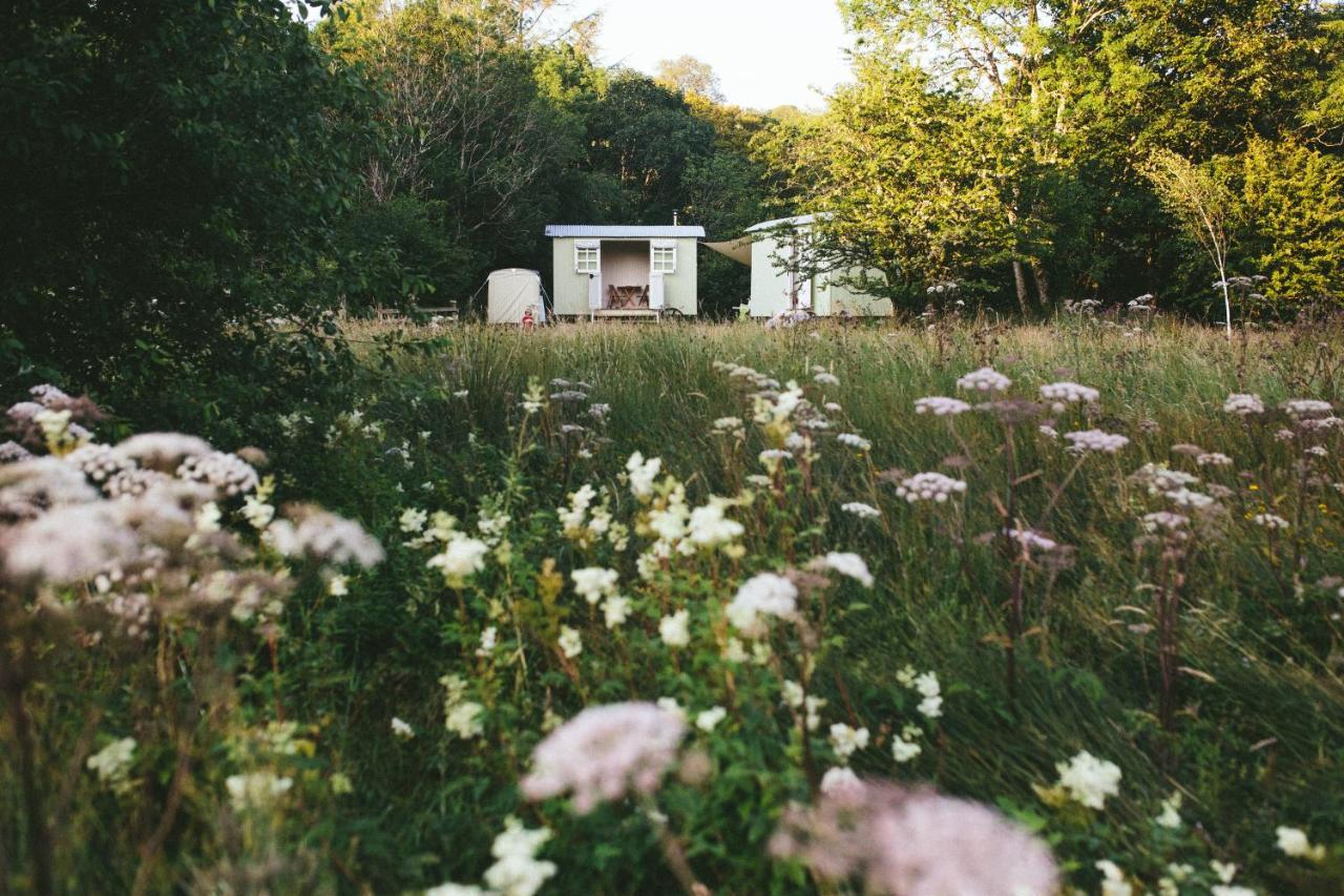 Snowdonia Shepherds' Huts Conwy Dış mekan fotoğraf