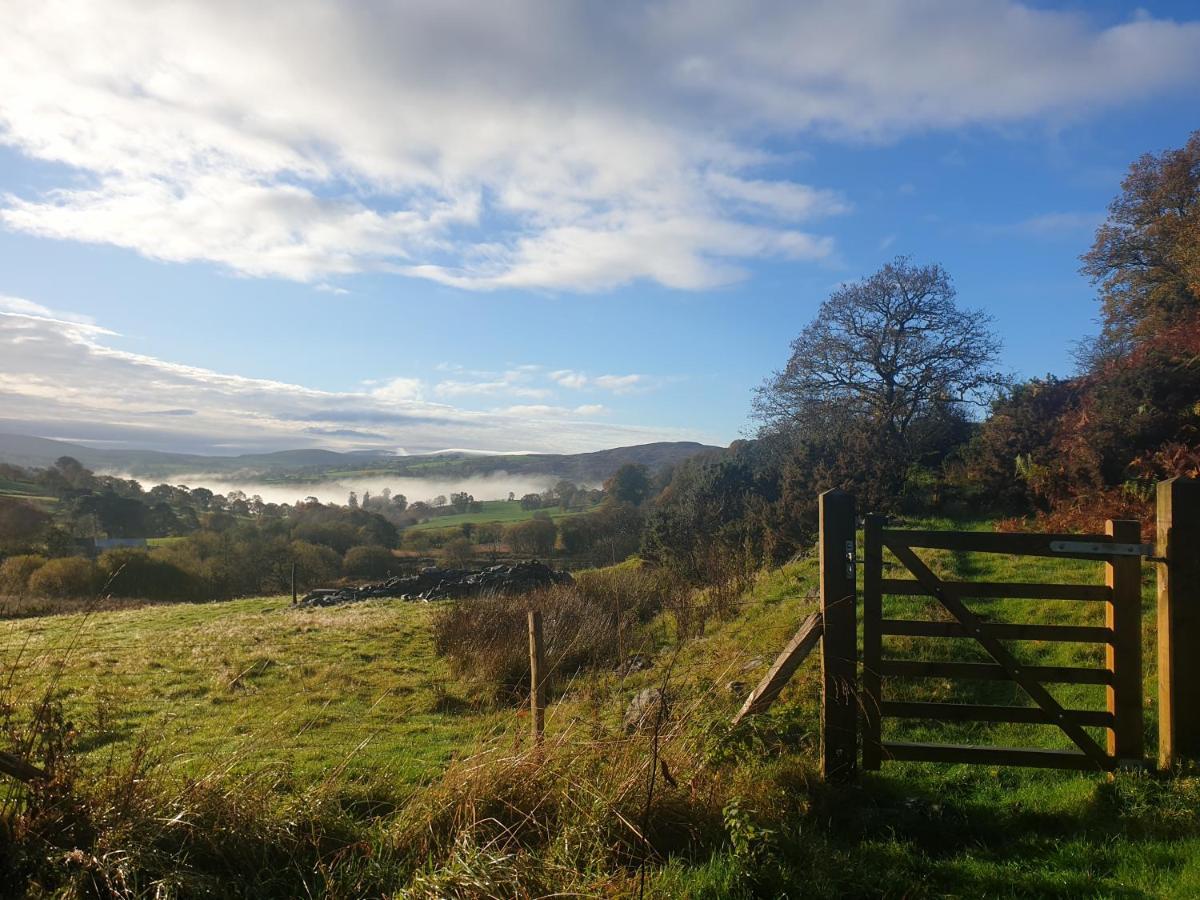 Snowdonia Shepherds' Huts Conwy Dış mekan fotoğraf