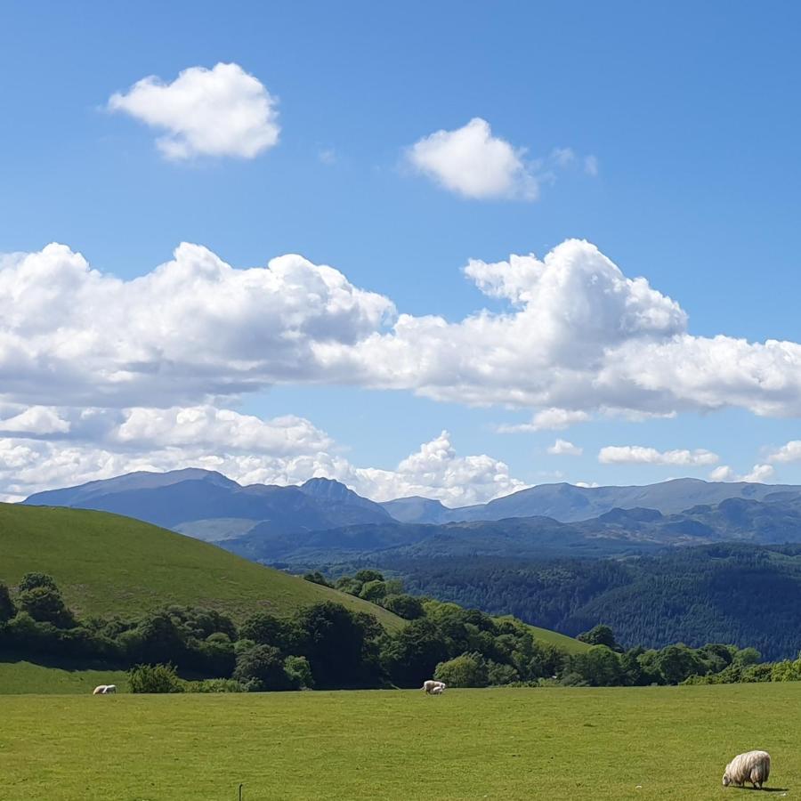 Snowdonia Shepherds' Huts Conwy Dış mekan fotoğraf